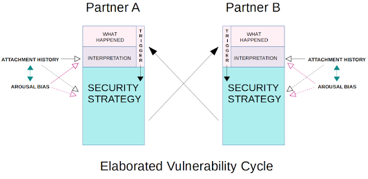 Elaborated Vulnerability Cycle with More Complexity
